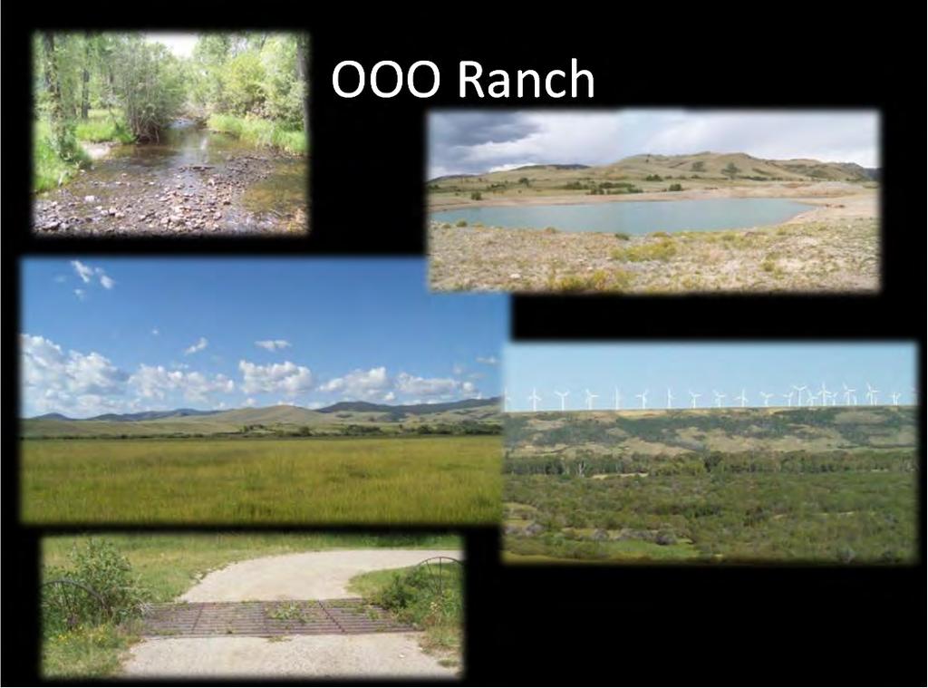 Riparian Area OOO Ranch Rock Creek Looking onto the