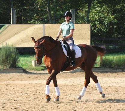EXERCISE 2 Connect Your Horse in Shoulder-Fore Directions If you were successful with Exercise 1, you got your horse s pushing engine in gear and were able to steer without reins.
