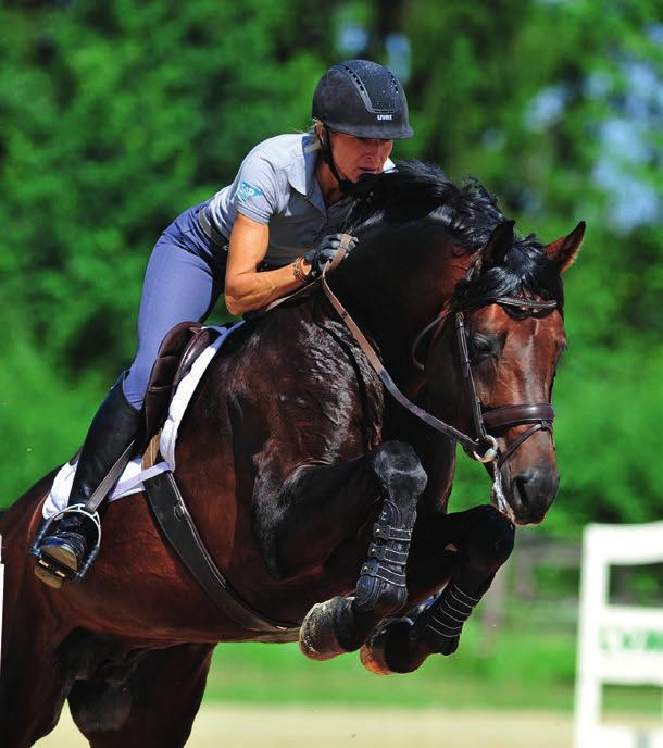 later dressage, show jumping, or eventing. Specializing too early harms the horse physically and mentally. When a young horse is only ridden in one way, he does not develop balanced musculature.