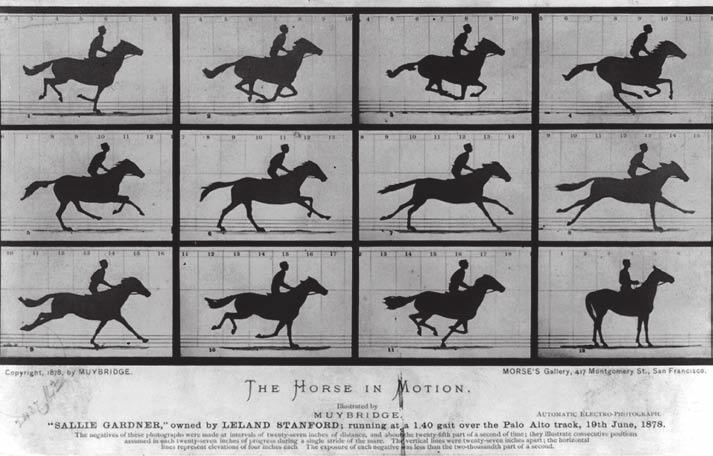 h orse MoveM ent structure, Function and rehabilitation Figure 7.1 Muybridge s famous sequence of photos: The horse in Motion.