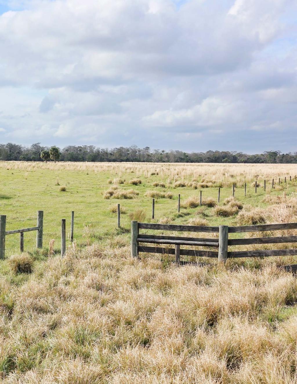 Smith Ranch Okeechobee, Florida Saint Lucie & Okeechobee Counties Cattle Operations and Exotic Game Preserve Purchase Whole Ranch or North or South Parcels Individually!