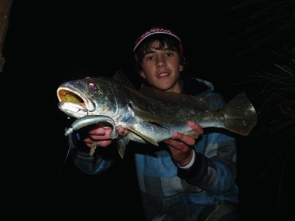 Night Fishing By Cameron Cronin As lure fishing of all types grows more and more popular, we are always on the lookout for that gun fishing method that will get us ahead of the pack and catching more