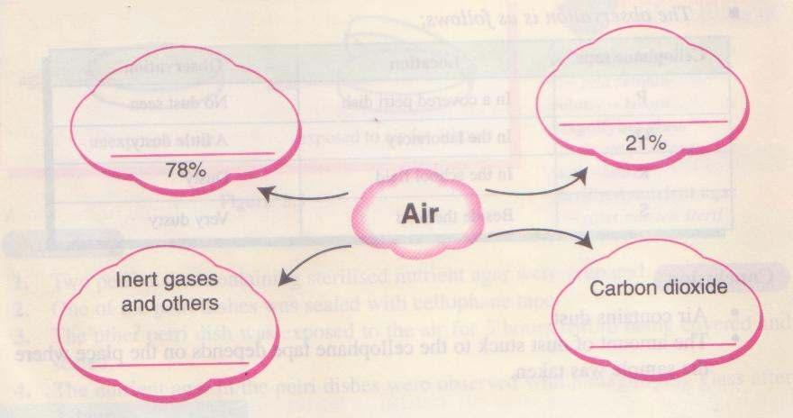 Review 1 1. Complete the chart below to show the composition of air and the percentage of each of its components. 2. Tick ( ) the correct statements.