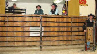 2015 NO SURPRISES Commercial Red Angus Female Sale!