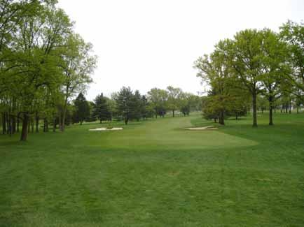 Fairway Bunkers: - Add or adjust fairway bunkers to create strategy and better define the golf holes Tree Management: - Remove all trees necessary to protect the Club s