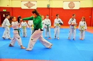 March 2015 On Saturday and Sunday the 7th and 8th March the Taekwon-Do Advisory Board of the Irish Martial Arts Commission held an Introduction to Coaching ITF Taekwon-Do Course in Rivervalley