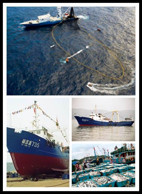 About Pingtan Marine A China based fishery company operating the second largest pelagic fishing fleet Operates a fleet of 140 fishing vessels Fishes principally in the Indian Ocean, the Pacific Ocean