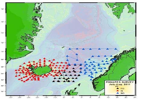 Sea By-catch levels low, but small mackerel catches Scaled up, by-catch rates 20-50 x