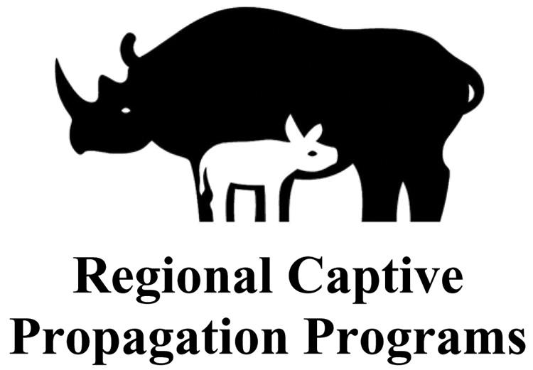REVIEW: RHINOCEROS POPULATION MANAGEMENT IN CAPTIVITY 17