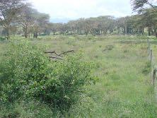 !! Figure 4a: The Mbogo Camp exclusion zone in 2012.