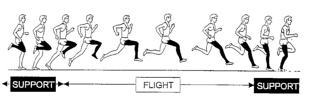 Remember Apart from cadence, stride length and rhythm.