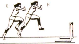 straightening of the body from the 4th/51h stride onward - high hurdle posture in front of the hurdle -
