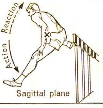 Angular motion: Whereas linear motion is forward, angular motion is rotational by nature and is more common in athletics as pure linear motion.
