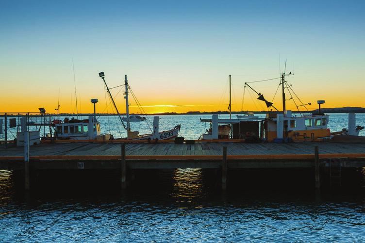 Facilities for commercial fishing vessels in Tauranga Tauranga is the home to a number of inshore fishing vessels, and is a popular place for visiting fishing vessels and aquaculture vessels.