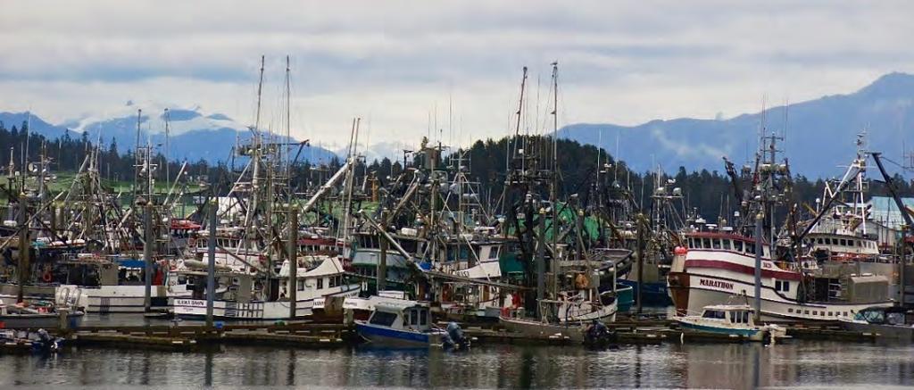 Executive Summary Southeast Alaska s economy is highly dependent on the region s rich natural resources.