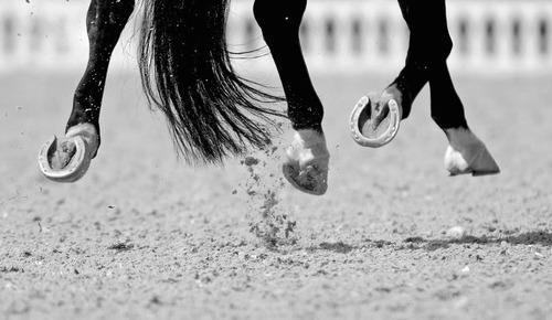 Other local comps coming up Noosa Eumundi District Dressage Competitive and Participant day 8 May Caboolture Dressage Group Competitive and Participant day 14 May Cooloola
