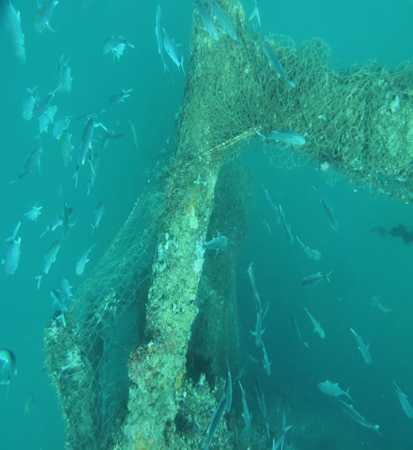 Protection of Valuable Habitat Rigs themselves have been described as de facto marine protected areas because they offer large internal spaces and act as shelter to fish and other marine organism;