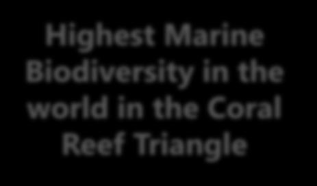 Highest Marine Biodiversity in the world in the