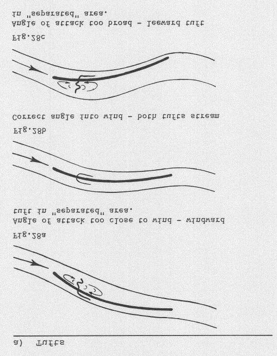 2 Introduction to tufts and leech ribbons 2. Main tufts - one on each side - one set high, one set low. 3.