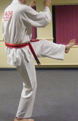 18 Step the left leg forwards and perform a front kick, don t forget