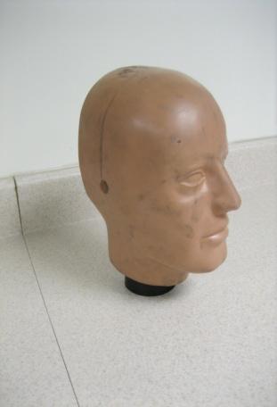 Disassembled H2D vinyl skin (left) and metal skull