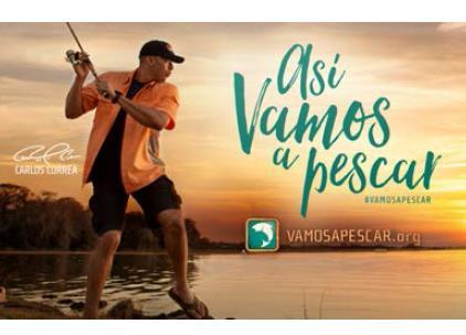 #VamosAPescar Campaign Follow and use #VamosAPescar See what consumers are posting Join the conversation Repost and