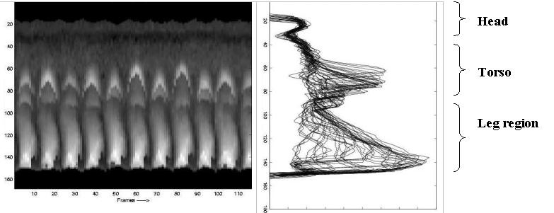 Gait Analysis for Human Identification 3 (a) (b) Fig. 1. (a)temporal plot of width vectors and (b) their overlay. The different regions of the body can be seen.