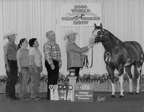Iowa Paint Breeders Futurity 2013 Stallion Service Auction 13 SSA LOT NO. 21 Y NOT SOCKS APHA 754148 Sire: Sock Broker Dam: Sunny Impressible Reserve World Champion.