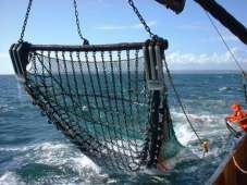 Beam Trawl Evolution The beam trawl is one of the earliest forms of towed fishing gear, being used in the Southern North Sea by the sailing smacks from Grimsby and Lowestoft in the latter part of the