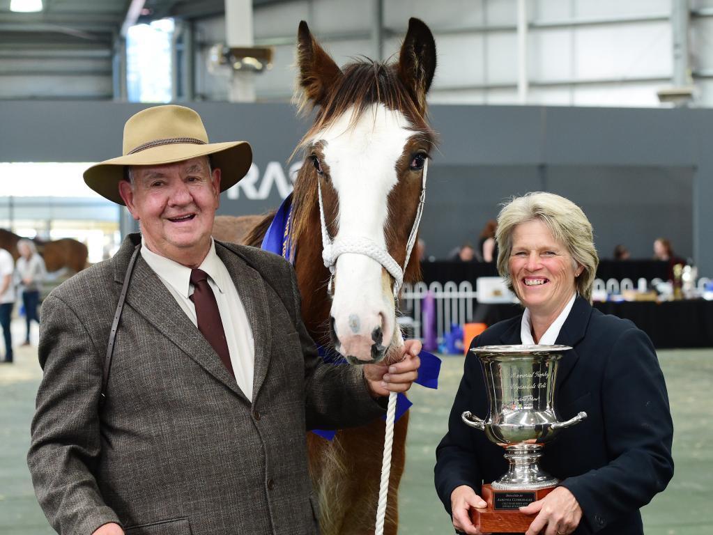 Mr Colin Cox of the Valmont Stud Victoria. The Valmont Clydesdales are sought after by buyers across the nation and have performed incredibly well over the years at the Royal Melbourne Show.