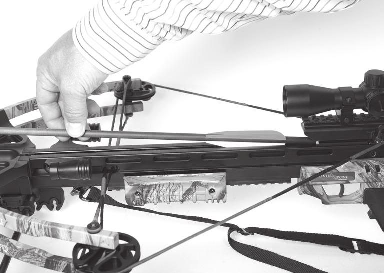 With the crossbow pointed down range, shoulder the crossbow, and place your hand on the stock with your fingers and thumb positioned on the fore grip, below the travel path of the string (Fig.