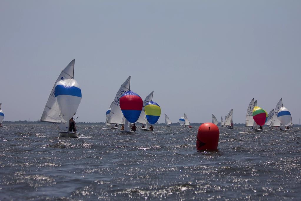BBSF Week 4/5 Home Regatta, New Sailors, Lots of Fun 7/28/16 Issue 4 :: Halfway Through but it Feels Like Summer Just Started!