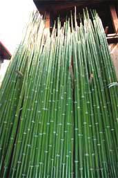 Both materials have long been used by Japan s respected craftspersons. At one time bamboo grew all over Japan.
