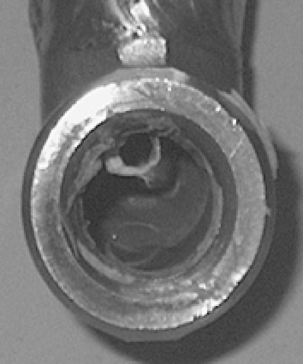 BINDER ET AL., doi:10.1520/jai102262 127 FIG. 2 Residue of sealing tape on valve connector.