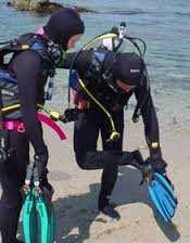 Donning Your Fins When you are ready to go diving, and have completed donning your SCUBA gear, the last item you don at the entry point is your fins.
