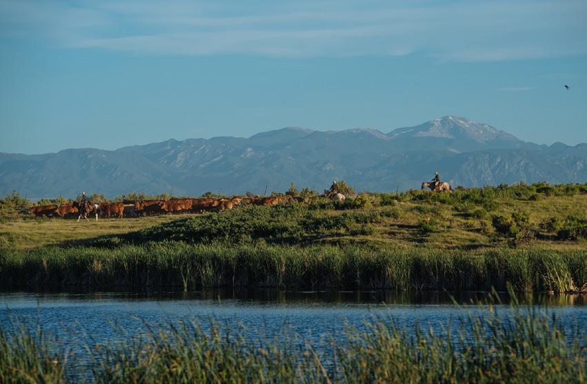 ANNOUNCING RANCHLANDS STAY Ranchlands Stay, including Ranchlands Camps and Ranchlands Experiences, began in 2000 on the Chico Basin Ranch, and today is available on three of six ranches that we