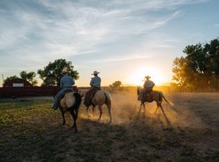 Guests on our ranches have the opportunity to experience a number of activities ranging from intimate homestays and upscale tent camps to simple and tasteful lodge settings.