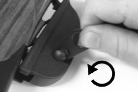 To remove the Trigger Lock, unscrew the Trigger Lock nut with the key and detach the Trigger Lock Screw (See Picture 7).