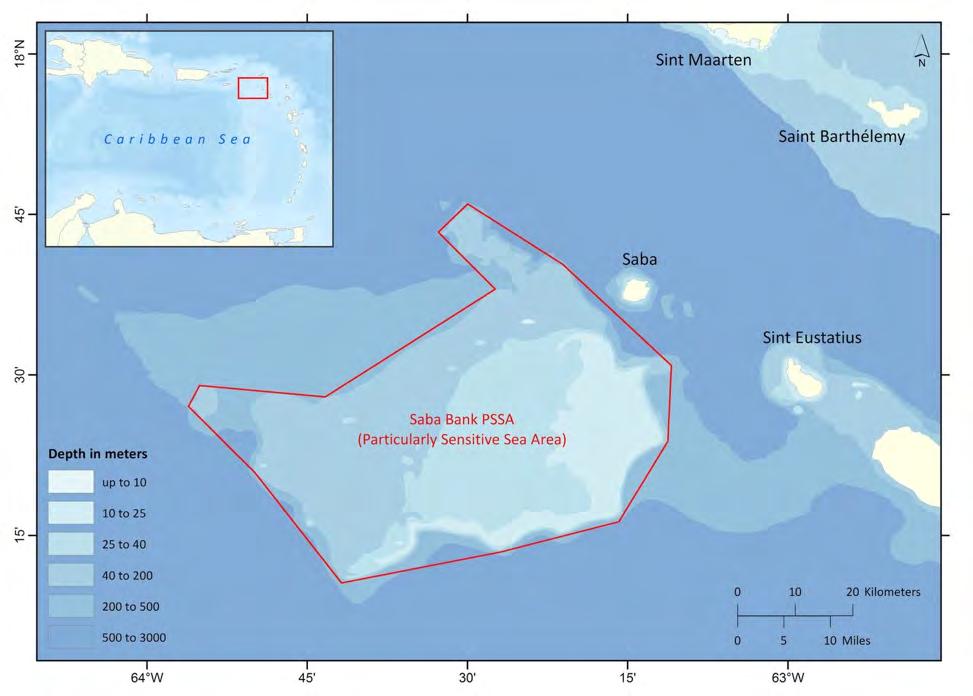 Map of the Saba Bank Image by: DCNA The Saba Bank remained an unexplored and mysterious offshore submerged carbonate platform until very recently.