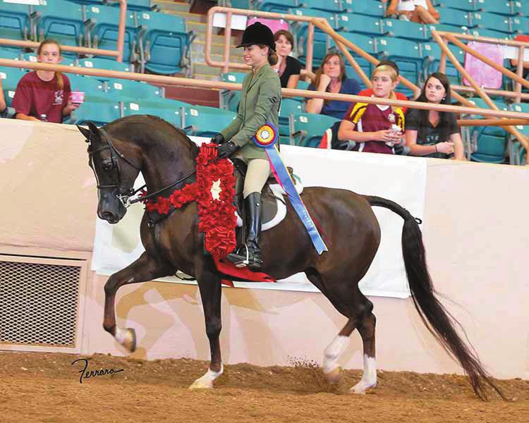 Youth Member HANNAH FELDMAN - At Youth Nationals The annual event held in Albuquerque, New Mexico is a show only for AHA youth members.