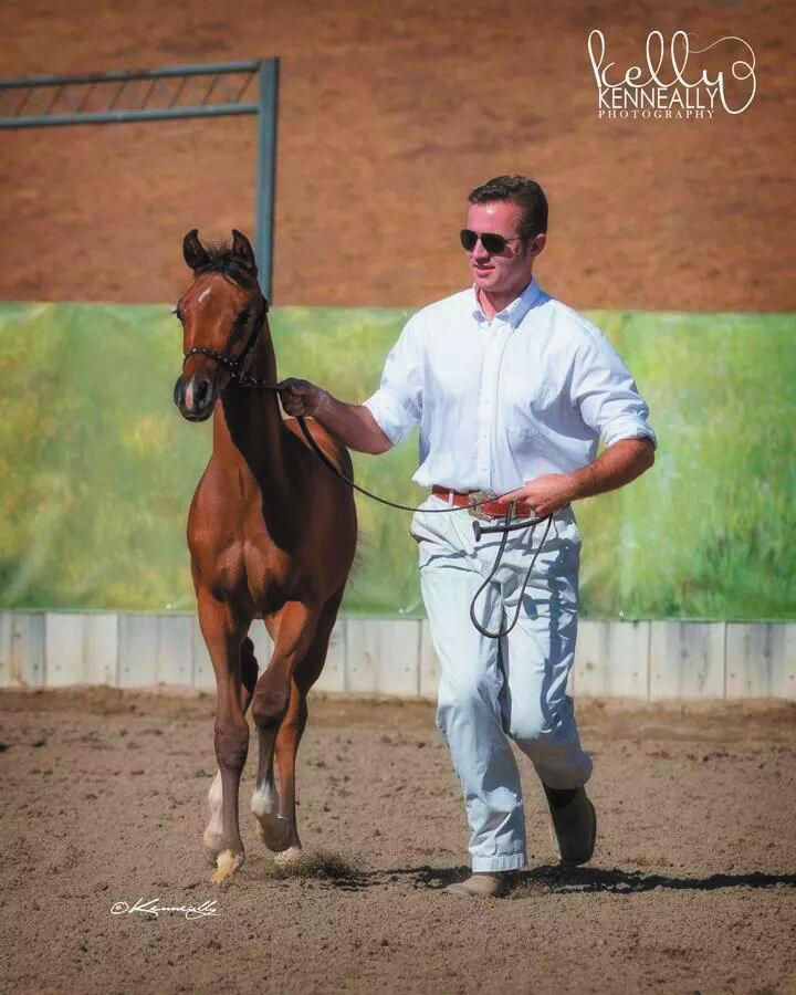 Dr. Trevor Miller - Santa Ynez Foal Festival - 2014 Our President, participating at the highly competitive Foal Festival in Santa Ynez, CA on October 4-5, 2014.