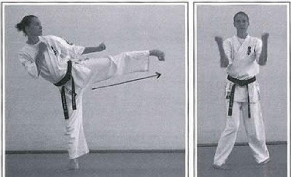 Chudan Mae Yoko Geri, Seiken Gyaku Tsuki Chudan, return & cover. Kumite (Fighting) Jiyu Kumite. (Free Sparring).