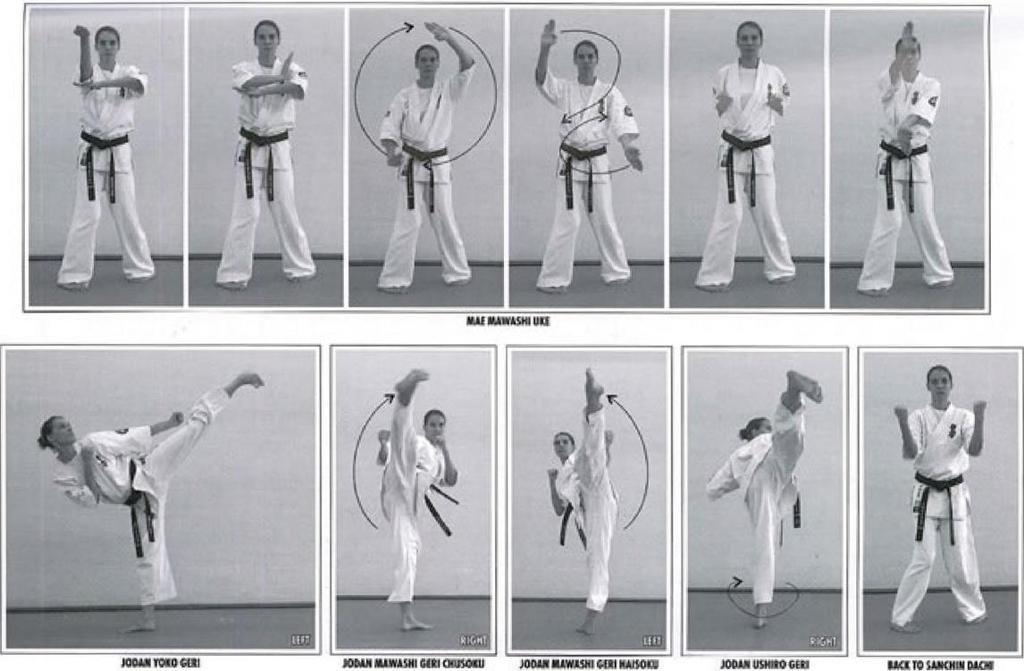 Kyu images have been reproduced from the book Traditional Kyokushin Karate with kind permission of the author Sensei Piotr Szeligowski 4th Dan Kumite (Fighting) Jiyu Kumite.