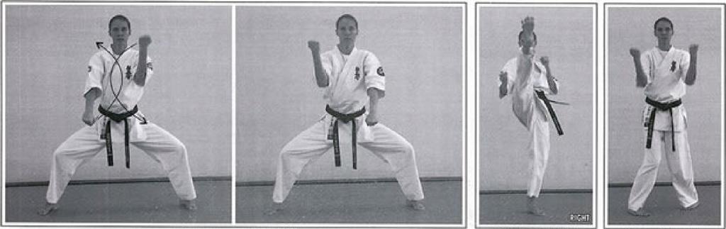 Seiken Gyaku Tsuki Chudan, return & cover. Kumite (Fighting) Jiyu Kumite. (Free Sparring). Kata (Pattern) Tai Kyoku Sono San (Wide View Lesson Three).