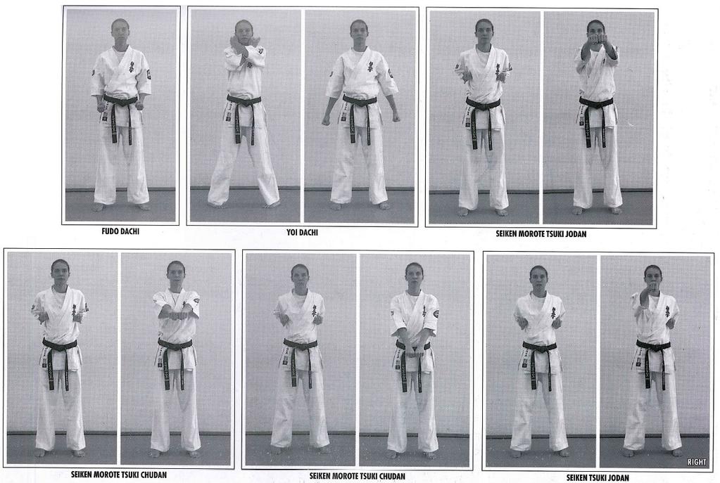 10 th Kyu Red Belt Students will need to have knowledge of the following: How to fold a karate Gi.