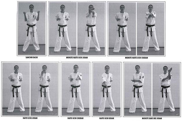 1 st Dan Black Belt (Yudansha) Kyu images
