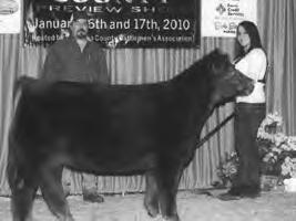 She is a full sib to one of the high sellers at the VCCP Best of the Valley club calf sale last fall. Consigned by Begoon Farms Heifer Black - Polled D.O.B. 2-25-09 12 Invincible X Meyer Maine Angus If you are looking to get in the club calf business here is your opportunity.