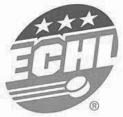 TABLE OF CONTENTS ECHL OFFICIAL RULES TABLE OF CONTENTS Table of Contents...vii Section 1 Playing Area...1 Section 2 Teams...2 Section 3 Equipment...11 Section 4 Types of Penalties.