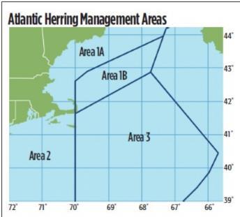 -Both availability and the size of fish have been low in recent years, both offshore and inshore.