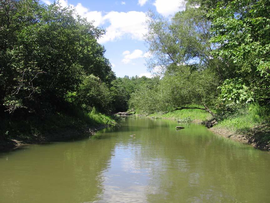 Upper: Impounded mainstem river habitat upstream